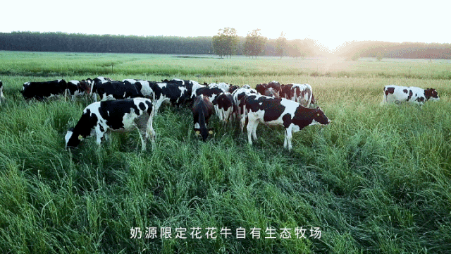 春風(fēng)吹 戰(zhàn)鼓擂——不負春天好時光